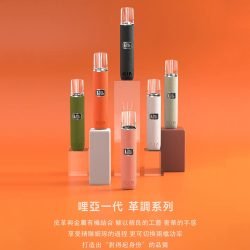 皮革1